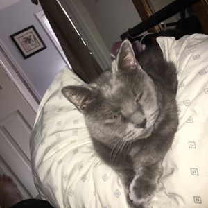 Meet your Posher, Donna